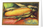 Best Wishes for Thanksgiving Day Postcard by Anonymous