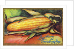 Best Wishes for Thanksgiving Day Postcard by Anonymous