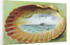 Souvenir From Postcard with Ocean Scene by Anonymous