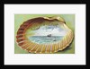 Souvenir From Postcard with Ocean Scene by Anonymous