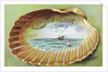 Souvenir From Postcard with Ocean Scene by Anonymous