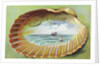 Souvenir From Postcard with Ocean Scene by Anonymous