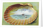 Souvenir From Postcard with Ocean Scene by Anonymous
