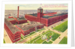 Sears, Roebuck & Co., Chicago Postcard by Anonymous