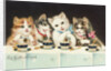 Ein Kaffeeklatsch Postcard by Anonymous