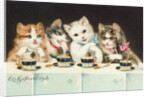 Ein Kaffeeklatsch Postcard by Anonymous