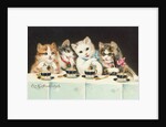 Ein Kaffeeklatsch Postcard by Anonymous