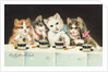 Ein Kaffeeklatsch Postcard by Anonymous