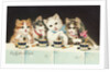 Ein Kaffeeklatsch Postcard by Anonymous