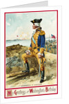 My Greetings on Washington's Birthday Postcard by Richard Veenfliet