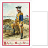My Greetings on Washington's Birthday Postcard by Richard Veenfliet