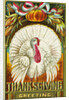 Thanksgiving Greeting Postcard by Anonymous
