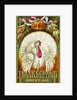 Thanksgiving Greeting Postcard by Anonymous