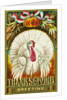 Thanksgiving Greeting Postcard by Anonymous