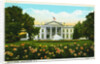 White House, Washington, D.C. Postcard by Anonymous