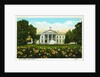 White House, Washington, D.C. Postcard by Anonymous