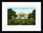 White House, Washington, D.C. Postcard by Anonymous
