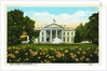 White House, Washington, D.C. Postcard by Anonymous