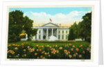 White House, Washington, D.C. Postcard by Anonymous