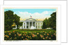 White House, Washington, D.C. Postcard by Anonymous