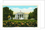 White House, Washington, D.C. Postcard by Anonymous