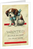 Wanted: Somebody to Play With Postcard by Wall