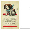Wanted: Somebody to Play With Postcard by Wall