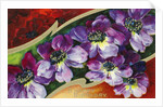 A Happy Birthday Postcard with Purple Clematis by Anonymous