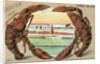 Souvenir from Coney Island Postcard by Anonymous