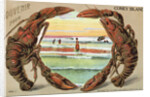 Souvenir from Coney Island Postcard by Anonymous