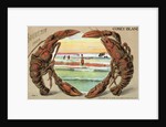 Souvenir from Coney Island Postcard by Anonymous