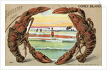 Souvenir from Coney Island Postcard by Anonymous