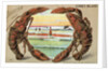 Souvenir from Coney Island Postcard by Anonymous