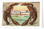 Souvenir from Coney Island Postcard by Anonymous