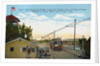 New International Bridge Between Mexico and Texas Postcard by Anonymous