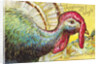 Thanksgiving Joys: An American Beauty Postcard by Anonymous