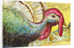Thanksgiving Joys: An American Beauty Postcard by Anonymous