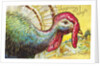 Thanksgiving Joys: An American Beauty Postcard by Anonymous