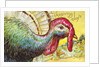 Thanksgiving Joys: An American Beauty Postcard by Anonymous