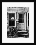 Purveyors of Kern County by Gordon Osmundson