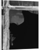 Broken Window Study #1 by Gordon Osmundson