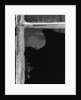 Broken Window Study #1 by Gordon Osmundson