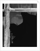 Broken Window Study #1 by Gordon Osmundson