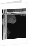 Broken Window Study #1 by Gordon Osmundson