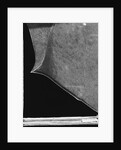 Broken Window Study #4 by Gordon Osmundson