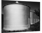 Butler Silos #1 by Gordon Osmundson