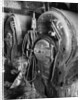 Old Boiler Back Heads by Gordon Osmundson