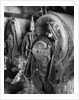 Old Boiler Back Heads by Gordon Osmundson