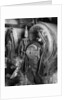Old Boiler Back Heads by Gordon Osmundson