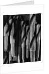 Drill Bits by Gordon Osmundson